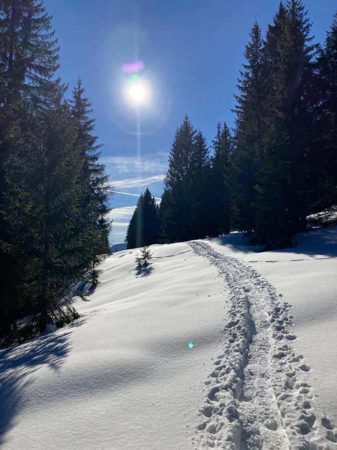 Apartment Kumitzblick Obersdorf Eksteriør bilde