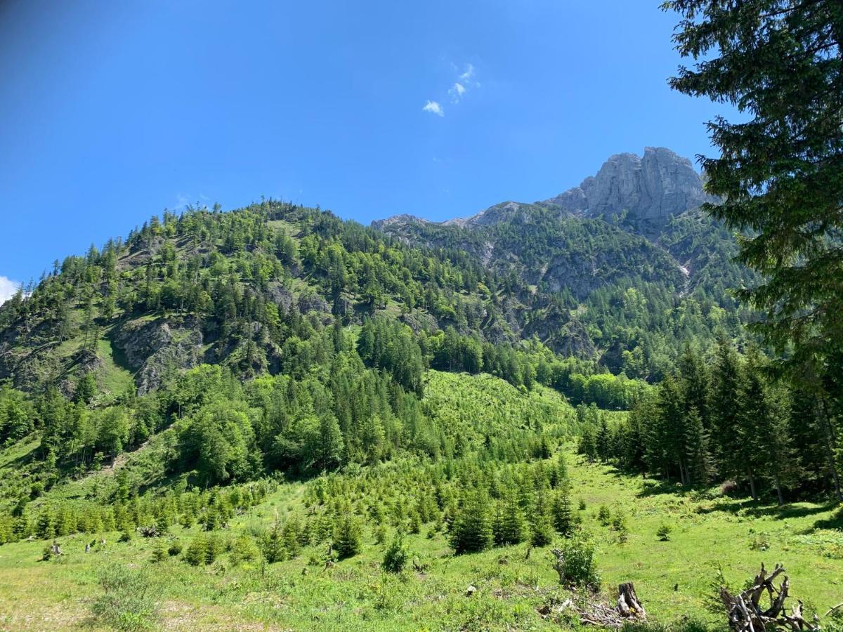 Apartment Kumitzblick Obersdorf Eksteriør bilde